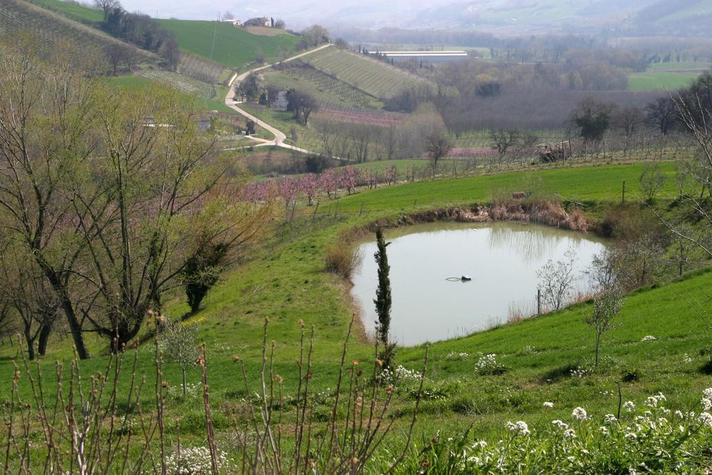 Agriturismo Vecchio Gelso Ortezzano Exterior foto